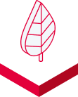 icon-rispetto-dell-ambiente